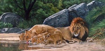 lion fierté de boire Peinture à l'huile